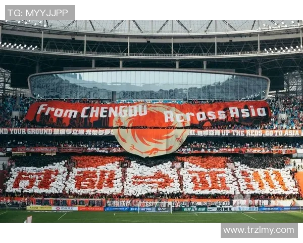 退役足球球星赛场谢幕转型之路与人生新篇章